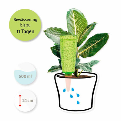 Copa Xl Indoor Green 112/24