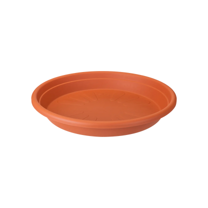 universal saucer round 35 terra