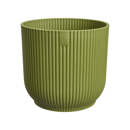 vibes fold round mini 7 fern green